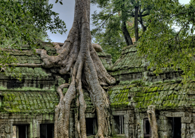 Ta Prohm
