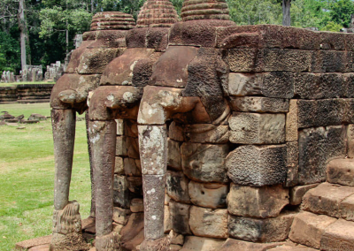 Trail of the Elephants