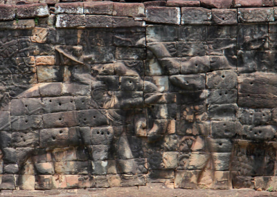 Trail of the Elephants